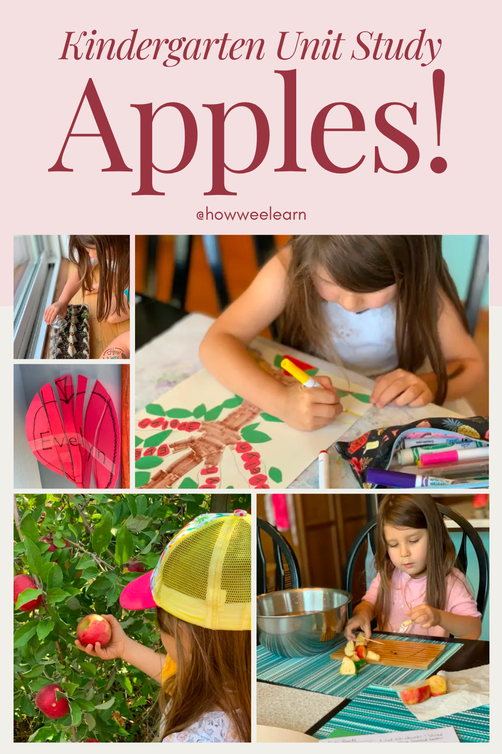 Apple Unit Study Activities for Kindergarten