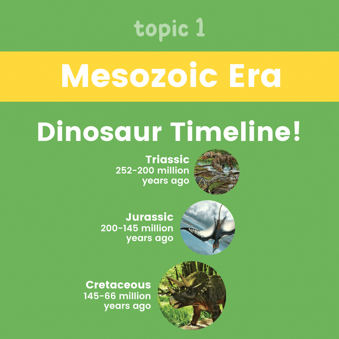 Dinosaur Unit Study - Mesozoic Era - Dinosaur Timeline