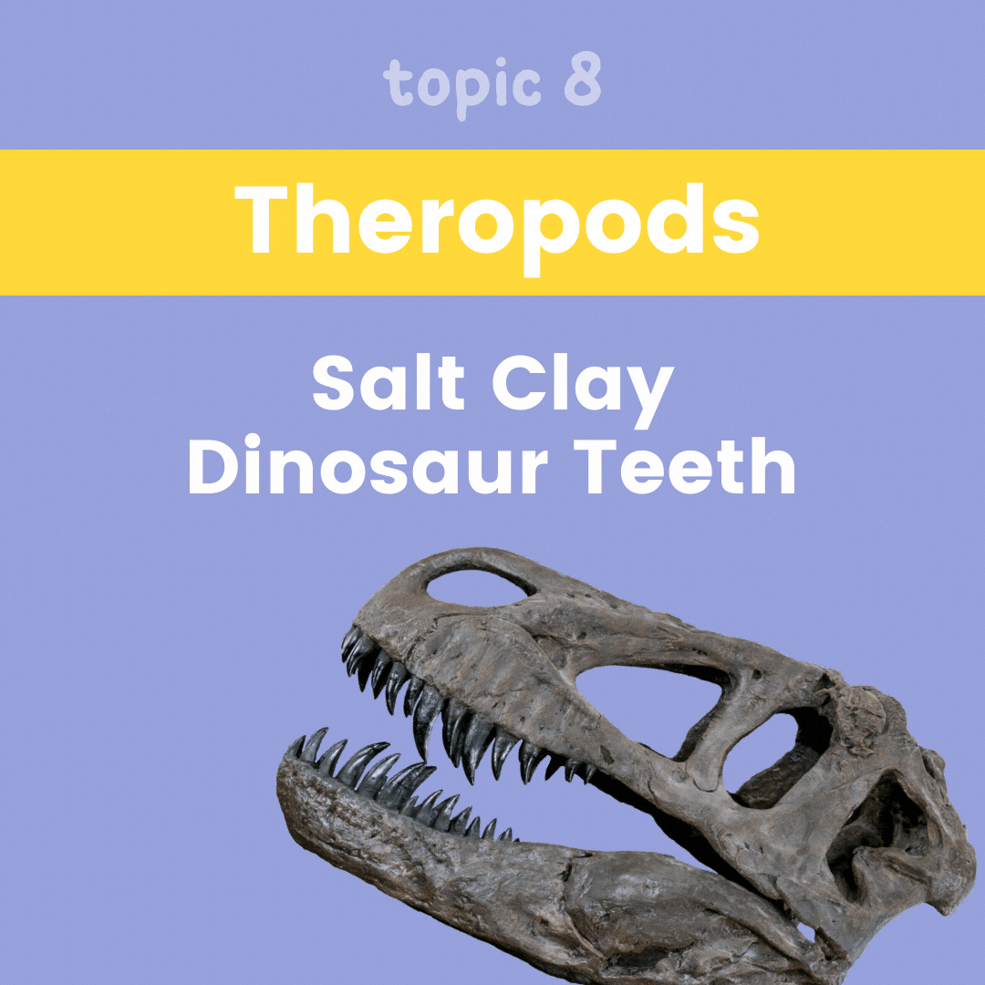 Dinosaur Unit Study - Theropods - Salt Clay Dinosaur Teeth
