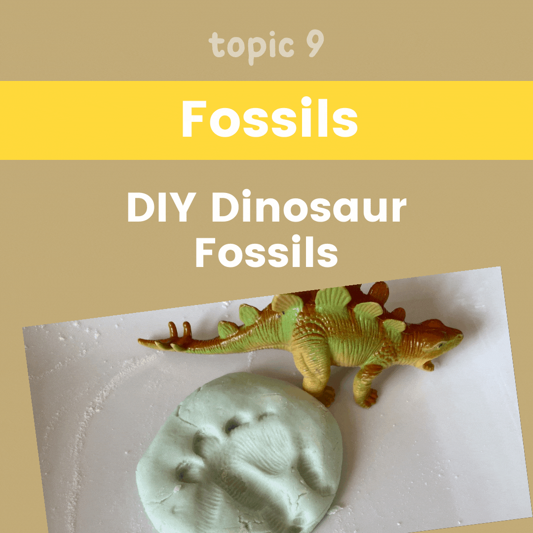 Dinosaur Unit Study - Fossils - DIY Dinosaur Fossils