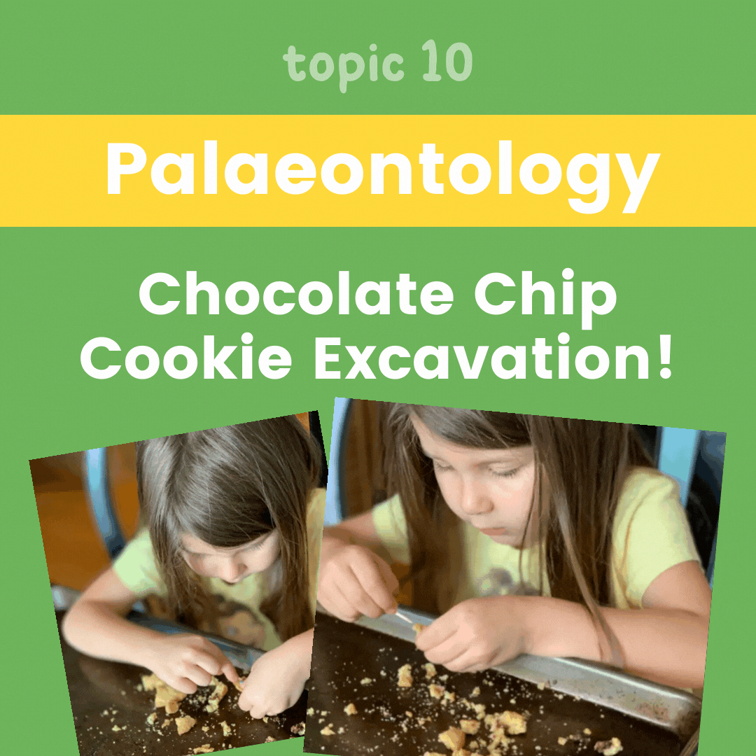 Dinosaur Unit Study - Palaeontology - Chocolate Chip Cookie Excavation