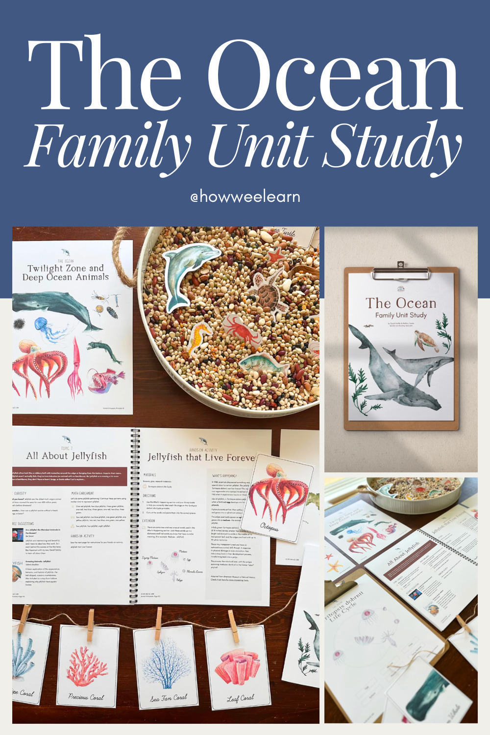 The Ocean Family Unit Study