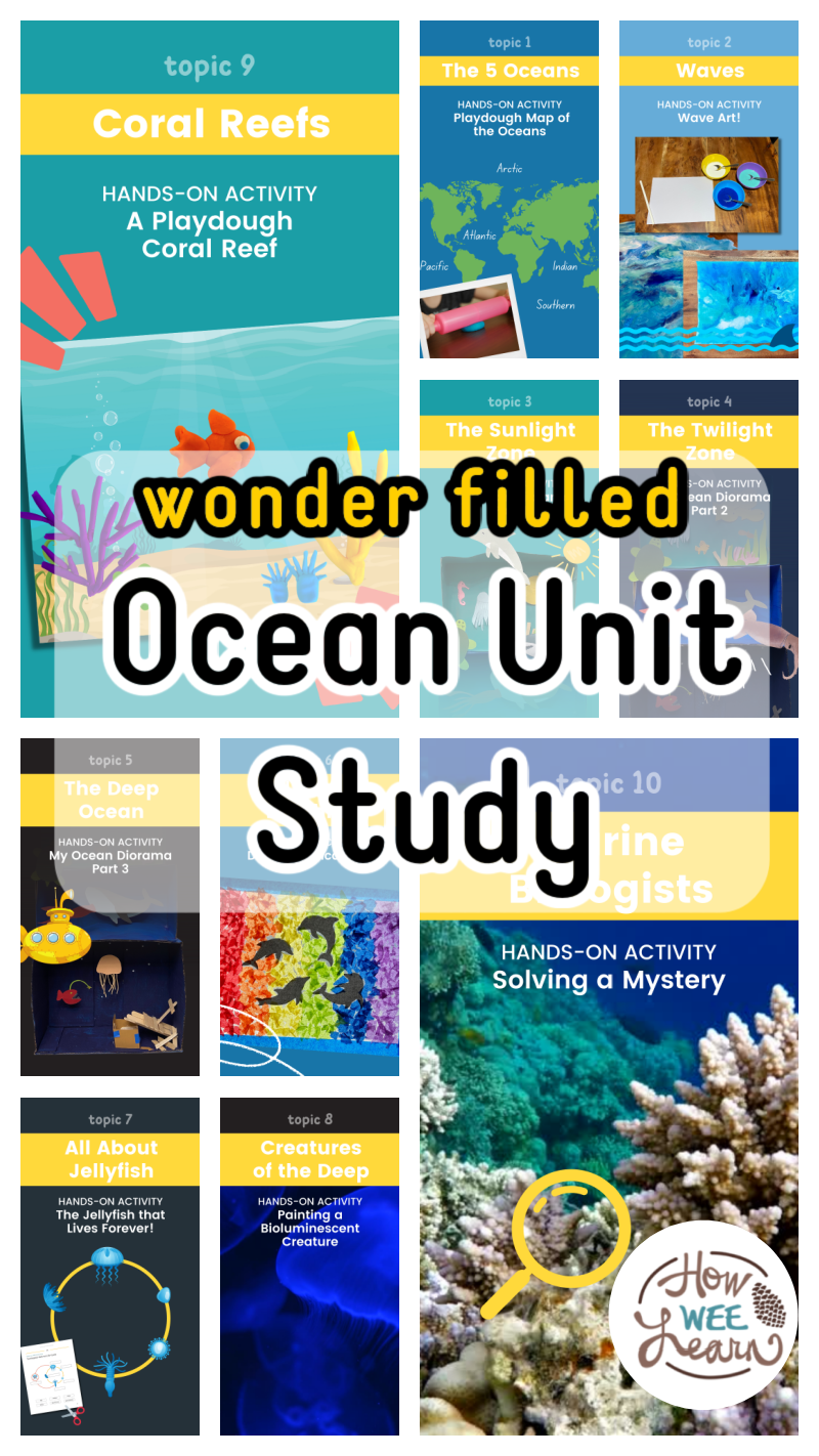 An EPIC Ocean Unit Study for Kids!