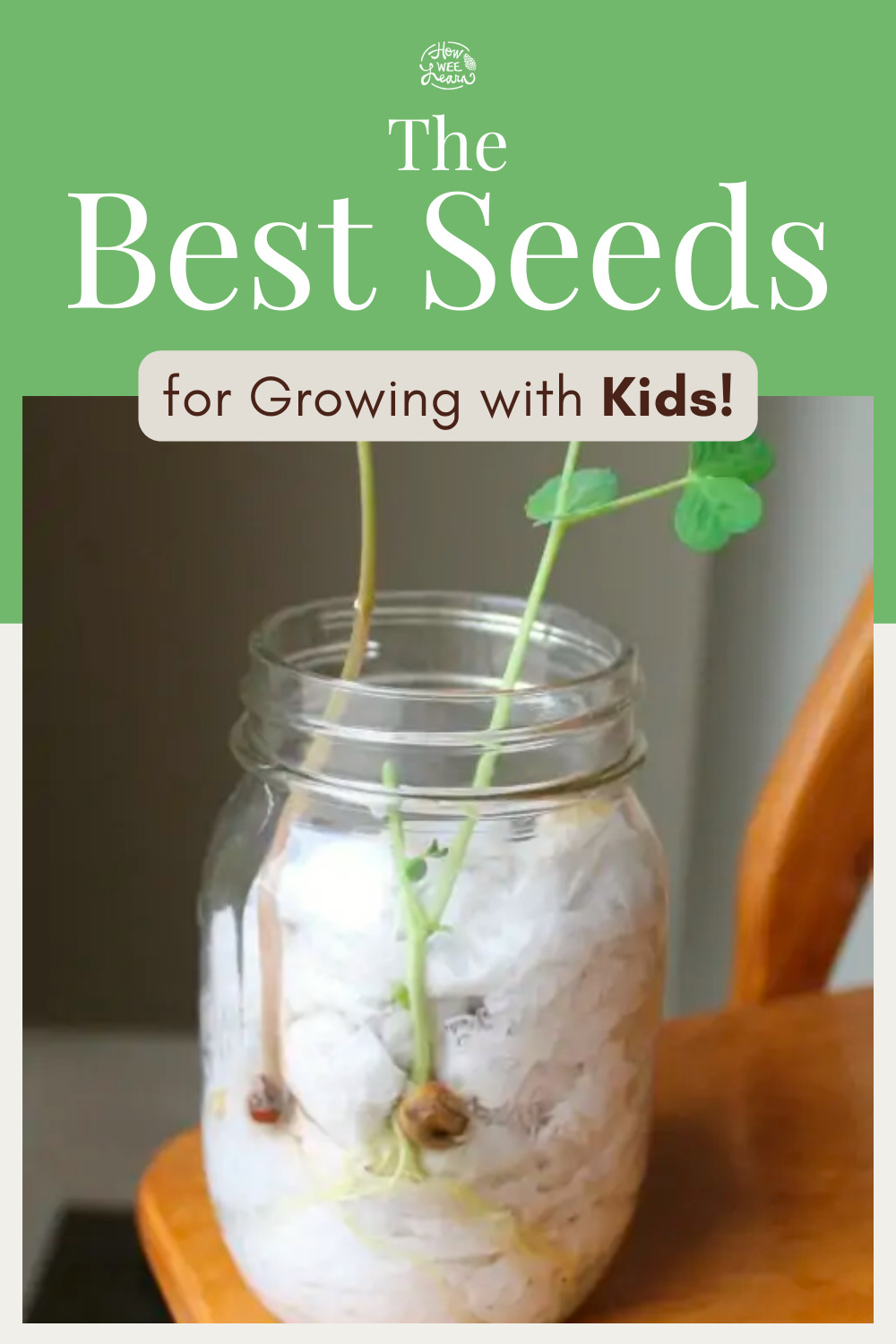 The Best Seeds for Growing with Kids: Seed Germination for Kids
