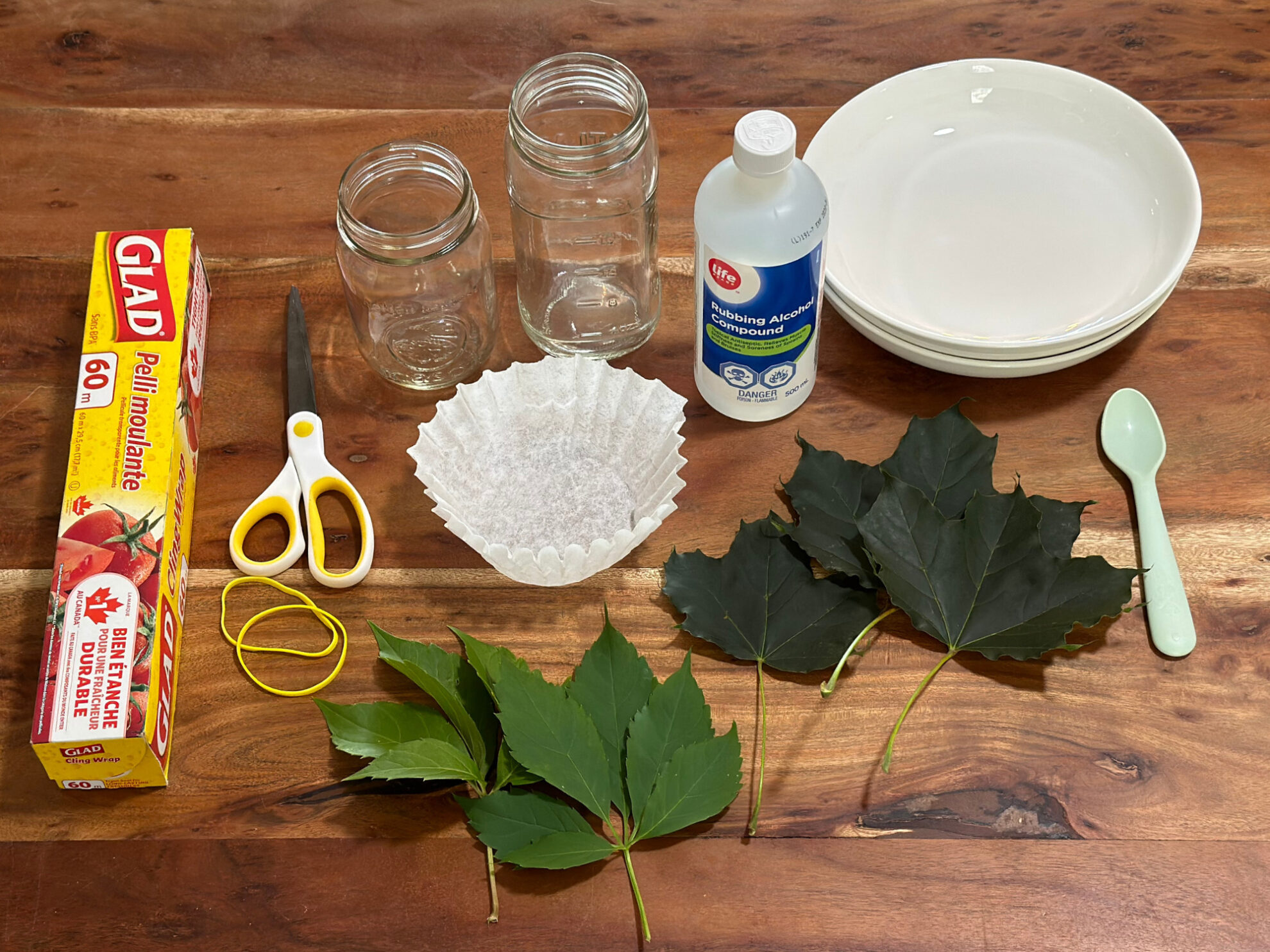 "Why Do Leaves Change Color?" Science Experiments for Kids, Materials