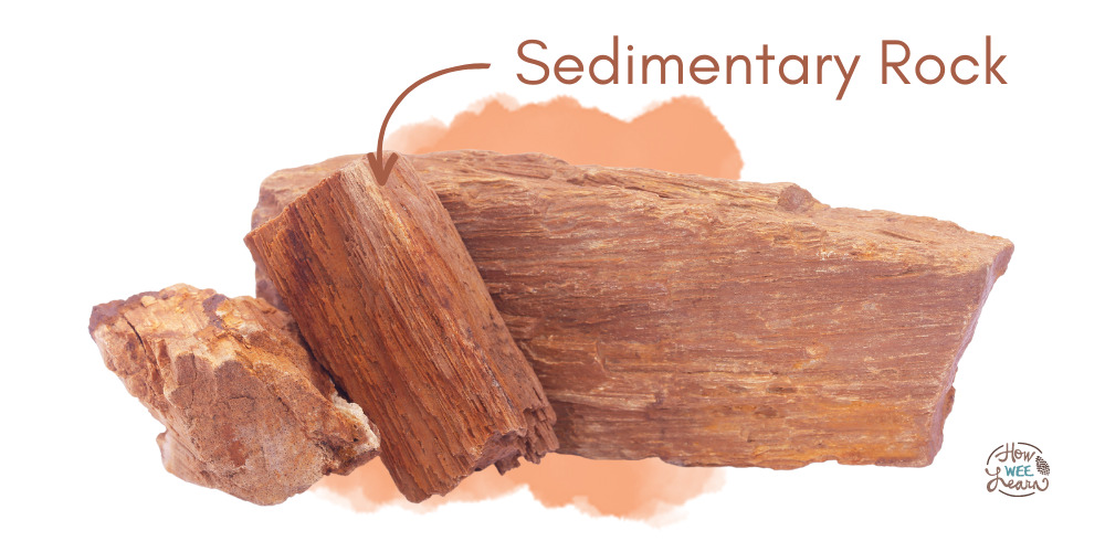 Picture of a Sedimentary Rock for a Geology Unit Study for Kids