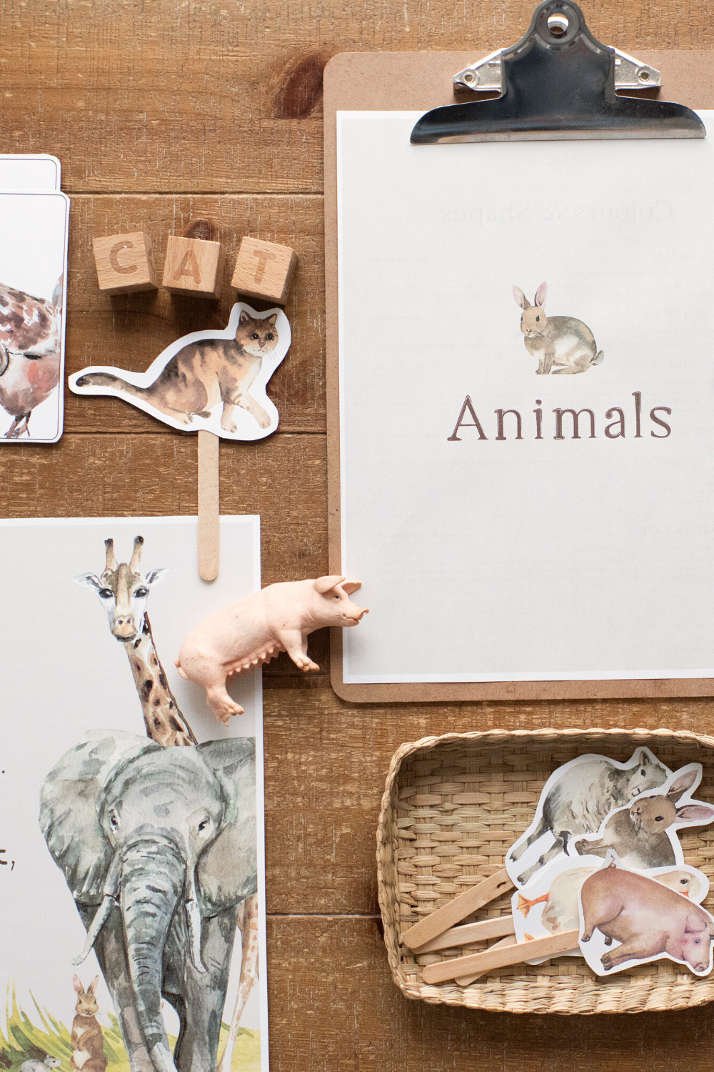 Playful Days: Animals Theme Photo of Materials