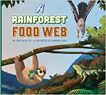 A Rainforest Food Web by Cari Meister