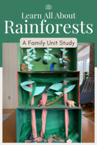 Learn All About Rainforests with a Family Unit Study