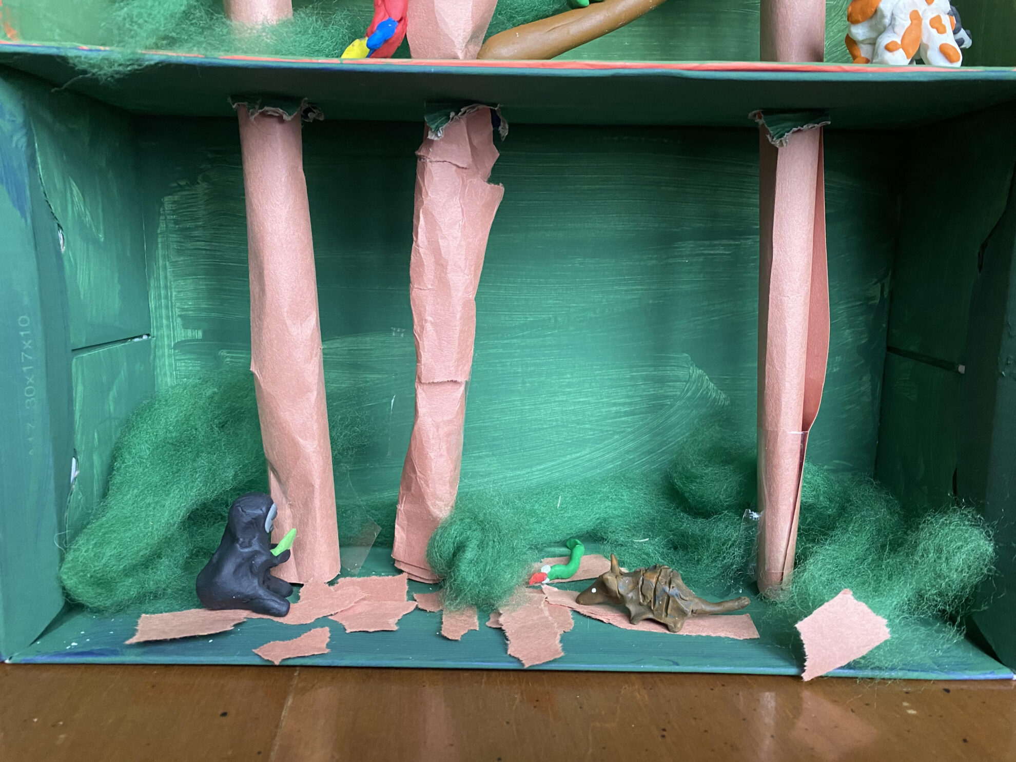 Rainforest Family Unit Study Diorama - The Forest Floor