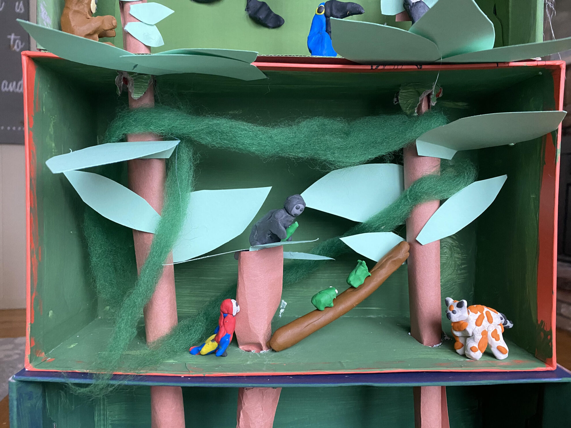 Rainforest Family Unit Study Diorama