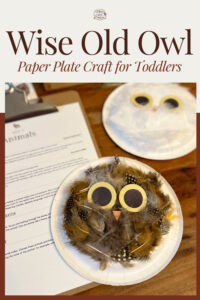 Wise Old Owl Paper Plate Craft for Toddlers