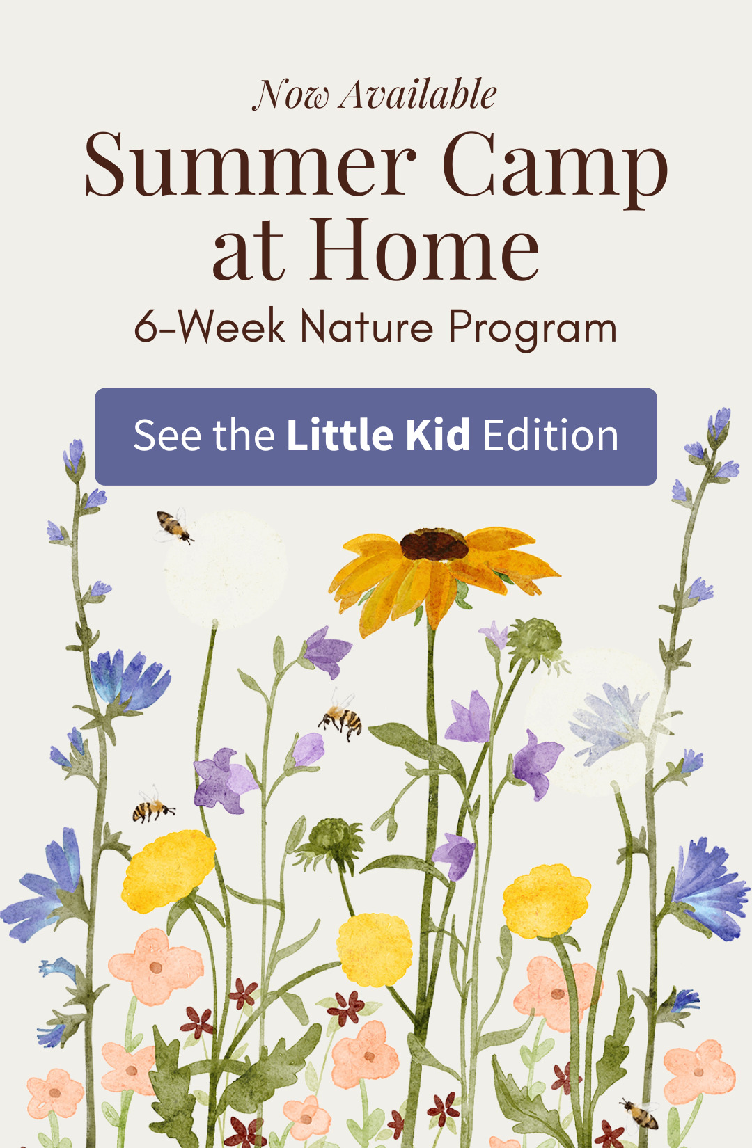 Now Available: Summer Camp at Home, 6-Week Nature Program. See the Little Kid Edition