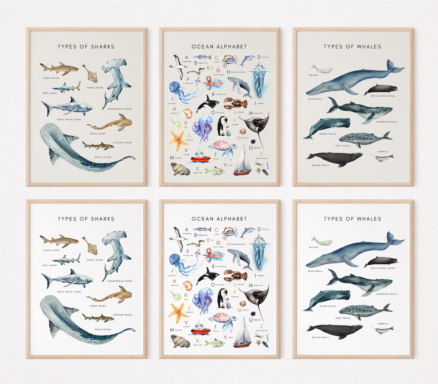 Educational Posters - Types of Whales, Types of Sharks, and Ocean Alphabet Poster