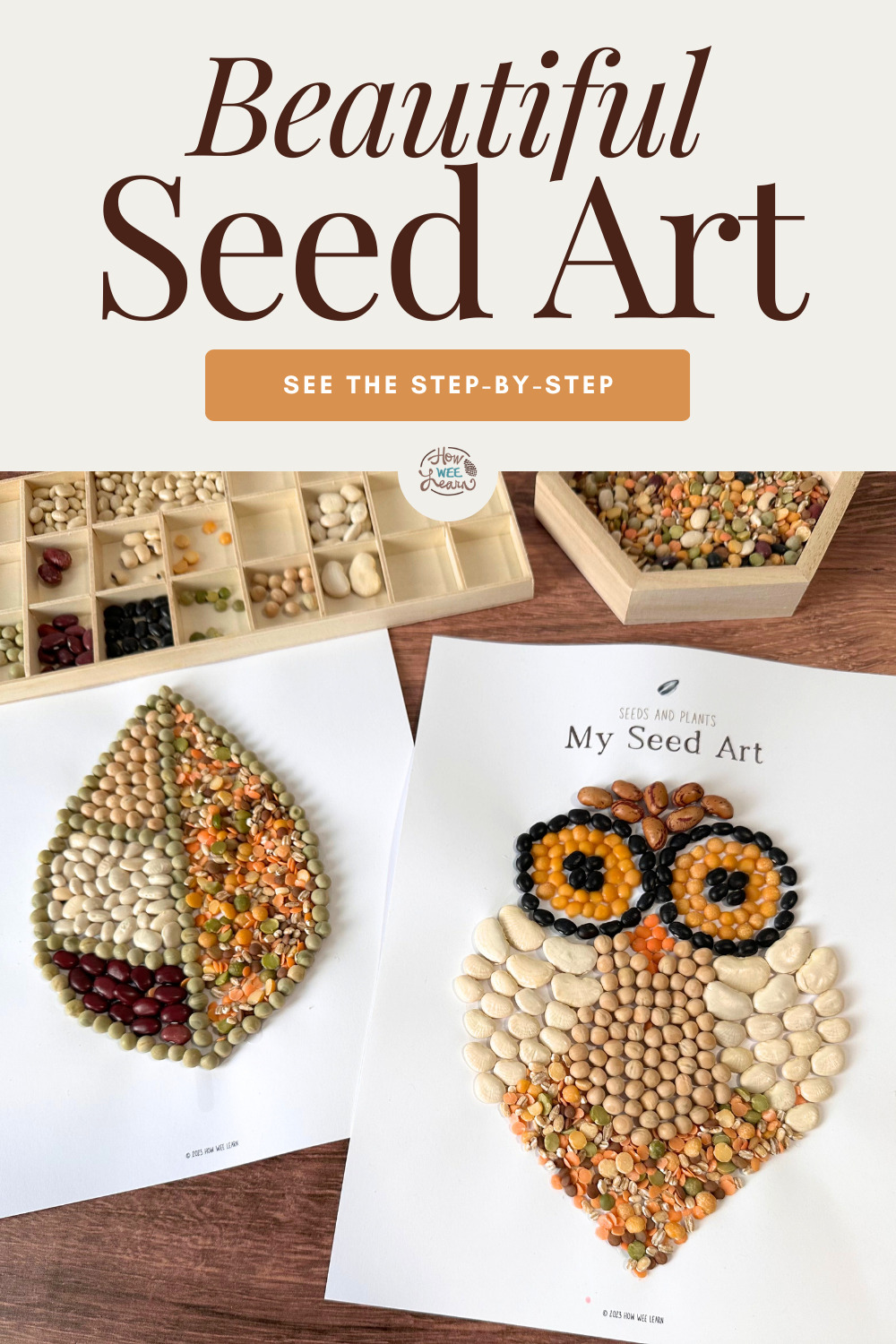 Beautiful Seed Art