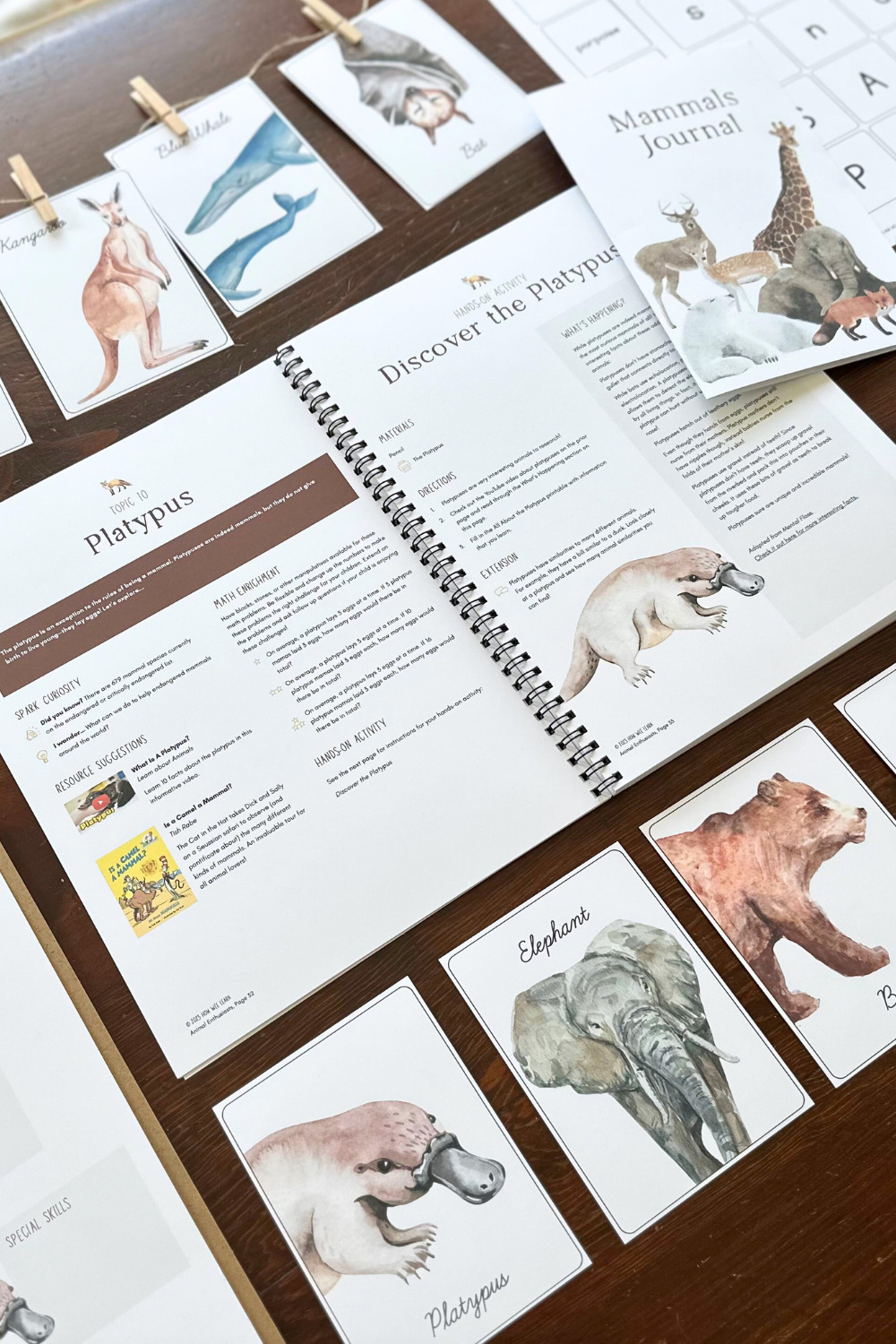 What is a mammal? Learn all about mammals through this hands-on Family Unit Study!