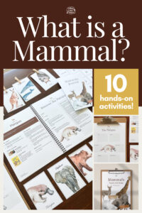What is a Mammal? Explore Mammals with a Family Unit Study and 10 hands-on activities.