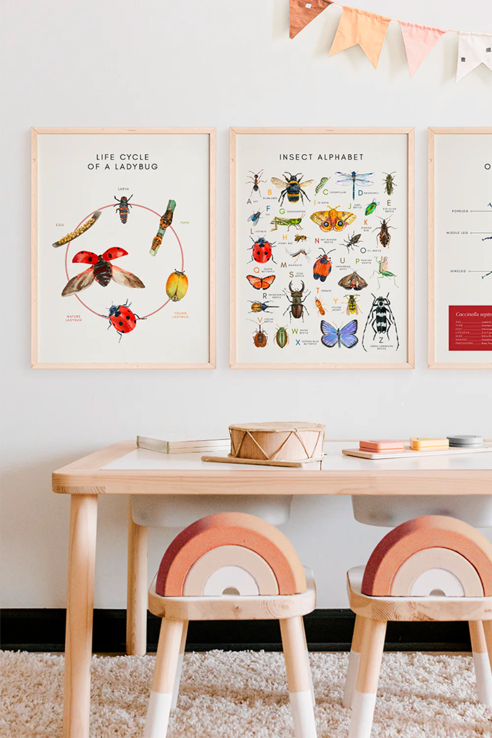Educational Art Bundle Insects Posters