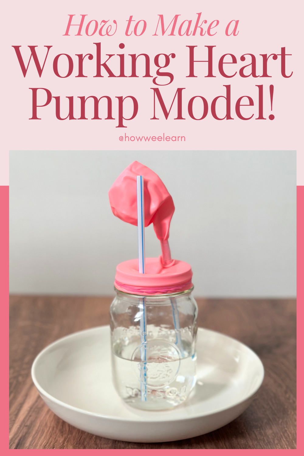 How to Make a Working Heart Pump Model