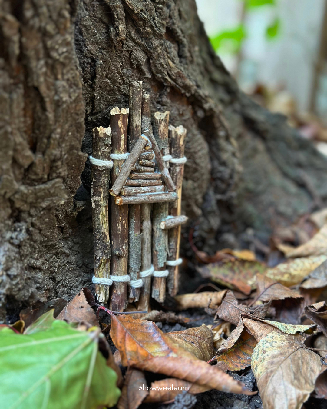 Fairy door made from sticks sitting at the base of a tree