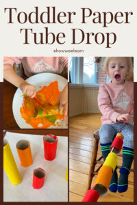 Toddler Activity: Paper Tube Drop