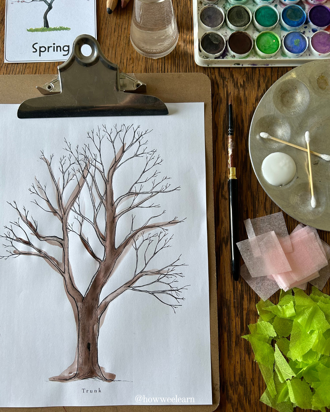 Four Season Craft Sensory Tree - Spring Tissue Paper