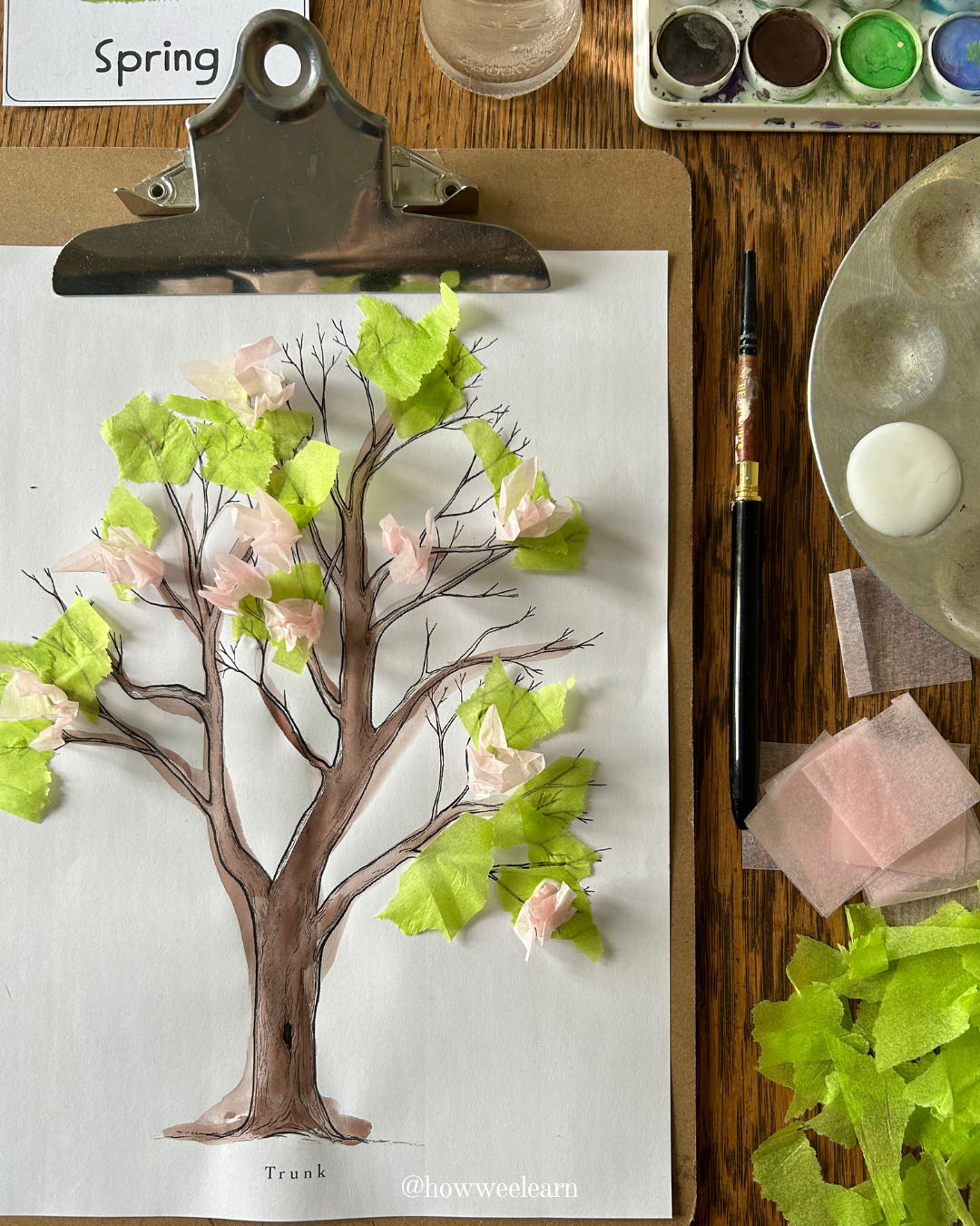 Four Season Craft Sensory Tree - Spring Tissue Paper