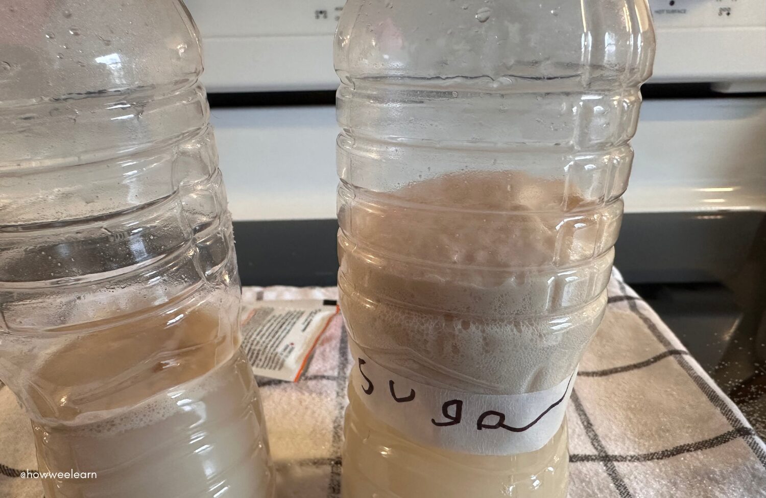 Yeast starting to bubble and release carbon dioxide