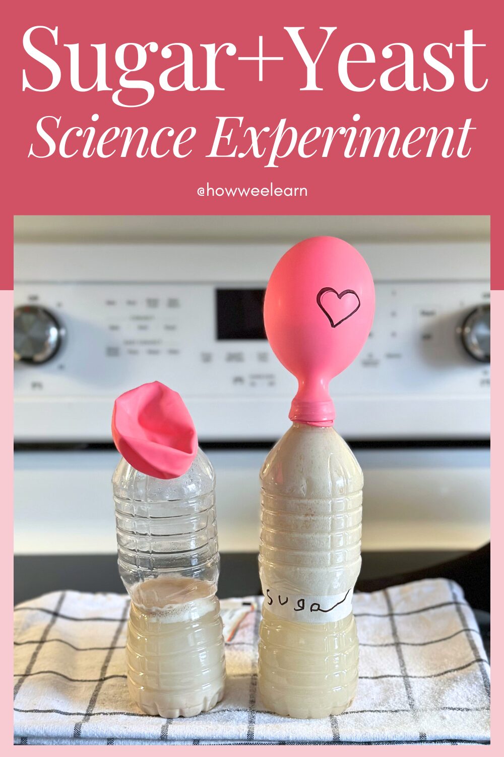 Sugar and Yeast Science Experiment