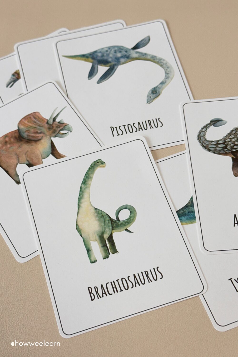 Free Dinosaur Printables: Vocabulary Cards
