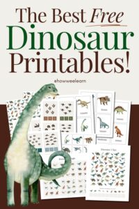 The Best Free Dinosaur Printables! Images of pages included: Dinosaur I Spy, Dinosaur Bingo, Vocabulary Cards, Matching Cards, Number Cards