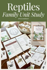 Reptiles Family Unit Study, Cover Page, Making Animal Tracks Activity, Vocabulary Cards
