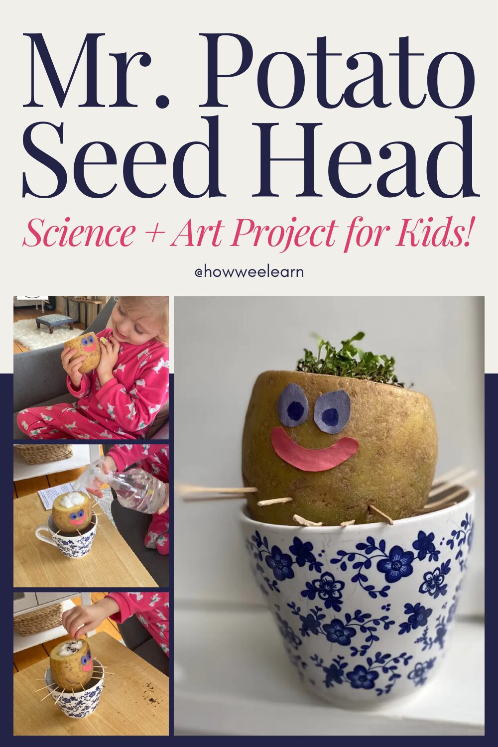 Mr. Potato Seed Head