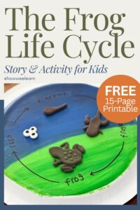 The Frog Life Cycle: Story and Activity for Kids, FREE 15-Page Printable