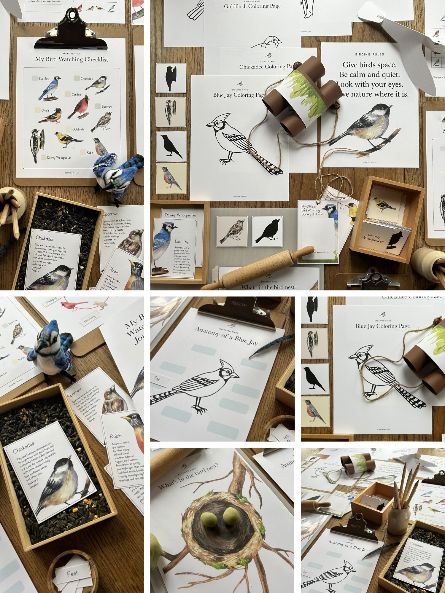 Photo collage of the Backyard Birds Learn & Play Pack by How Wee Learn