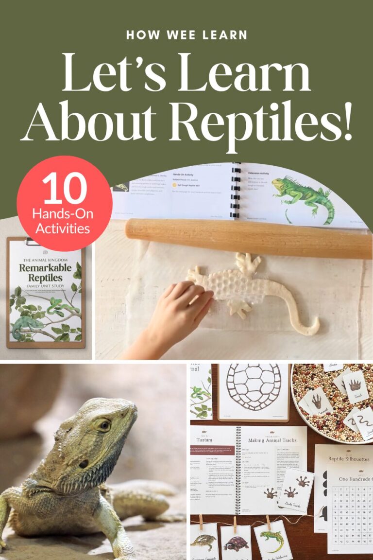 Wee Study Remarkable Reptiles Unit Study for Kids: Hands-On Learning - How Wee Learn