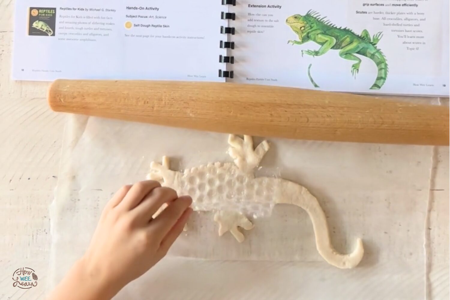Remarkable Reptiles Salt Dough Activity by How Wee Learn
