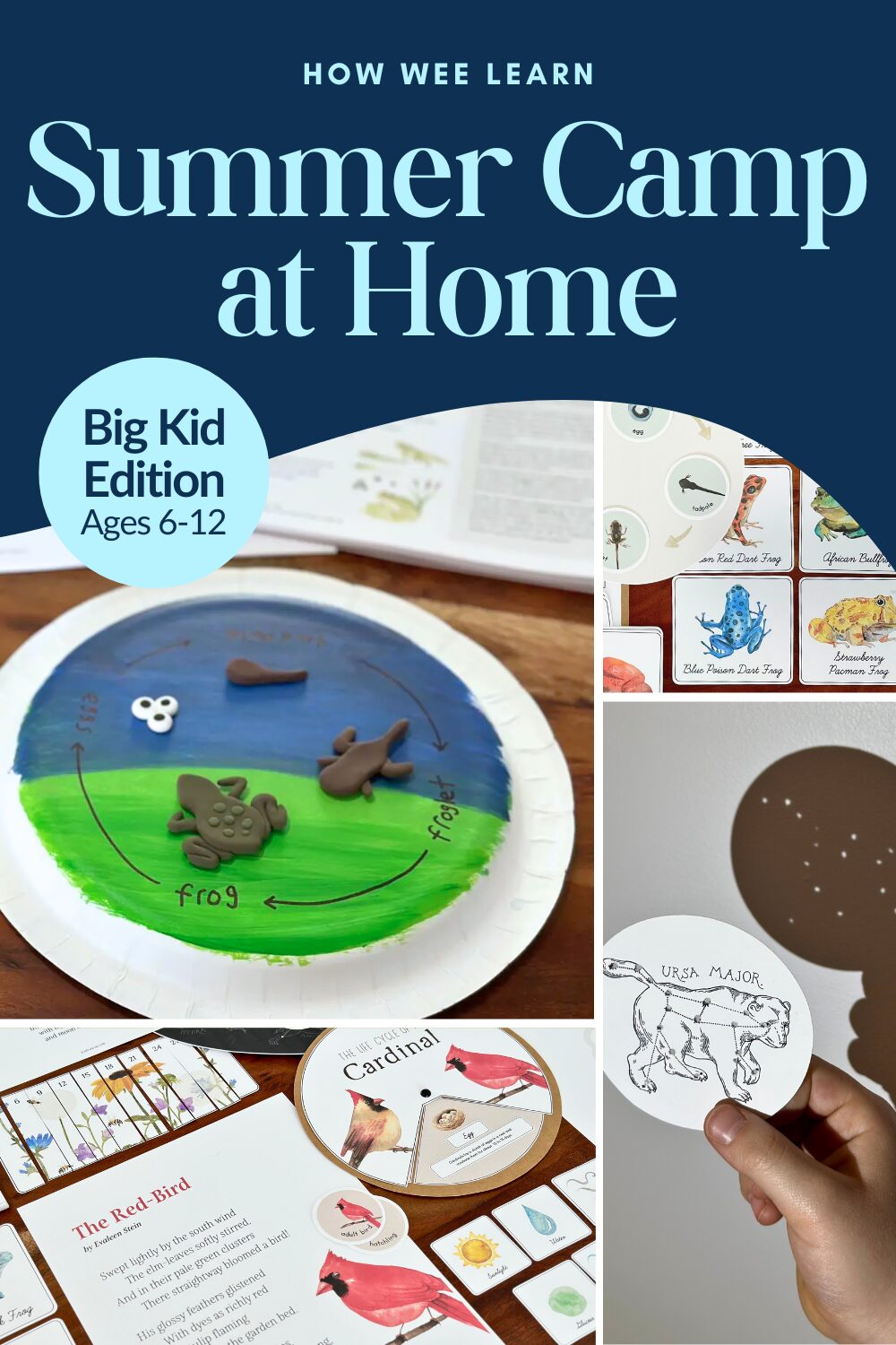 Summer Camp at Home Big Kid Edition, photos of various crafts and activities from the resource, including themes on birds, frogs, and stars and constellations