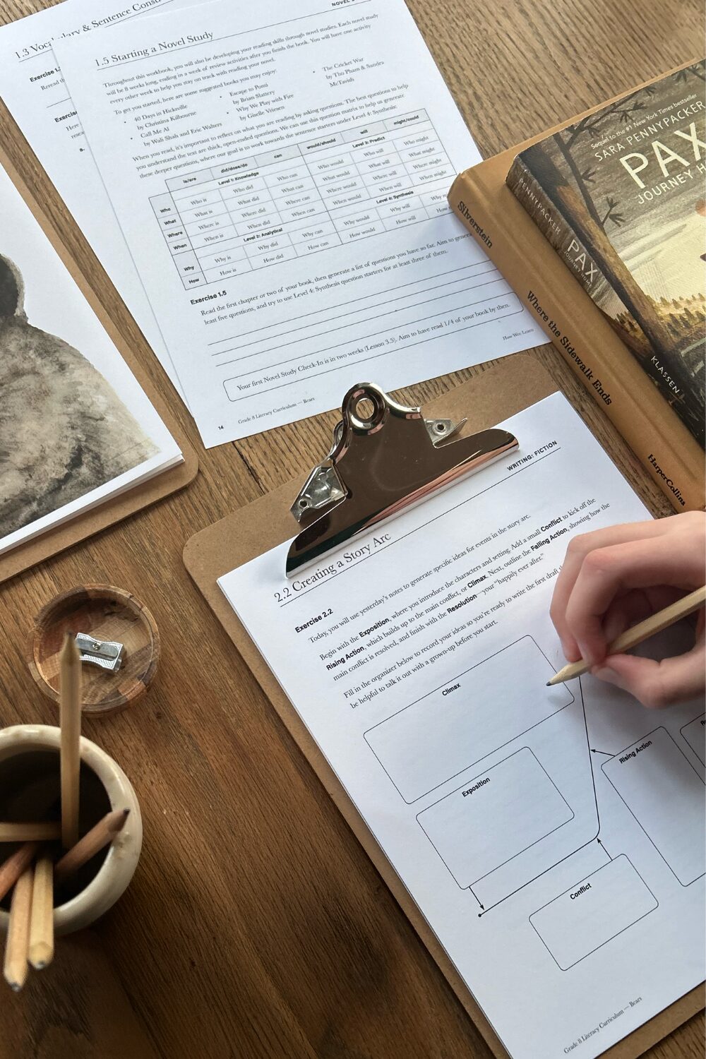 Grade 8 Literacy Curriculum by How Wee Learn