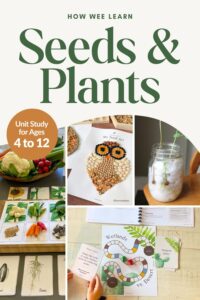 Seeds and Plants Family Unit Study by How Wee Learn with photos of various seed and plant games and activities for kids.