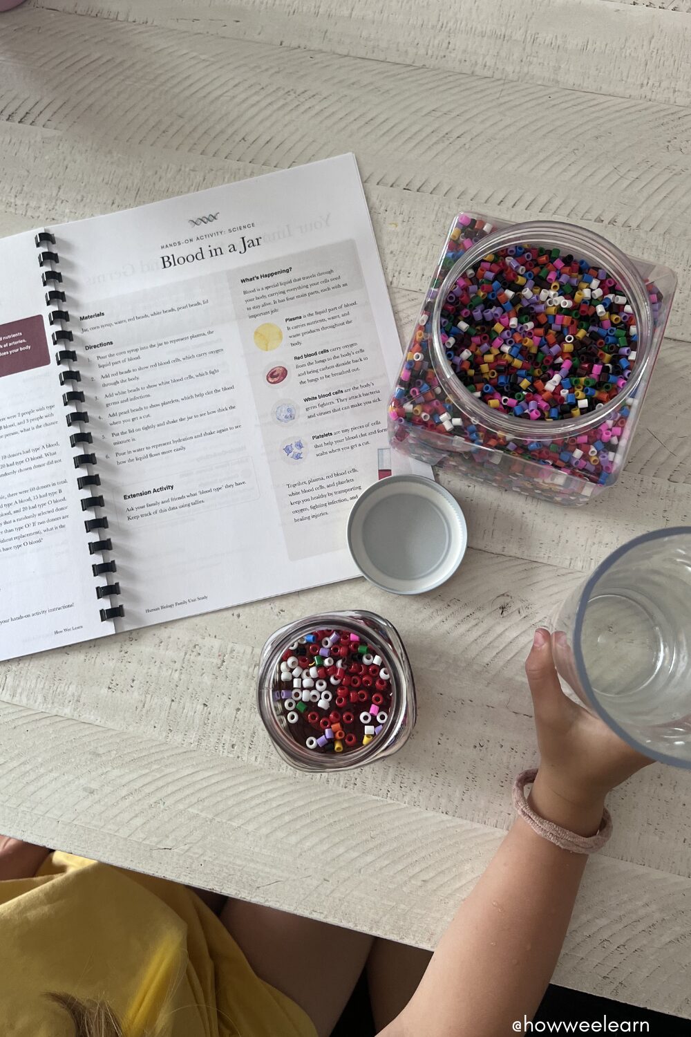 Blood in a jar activity