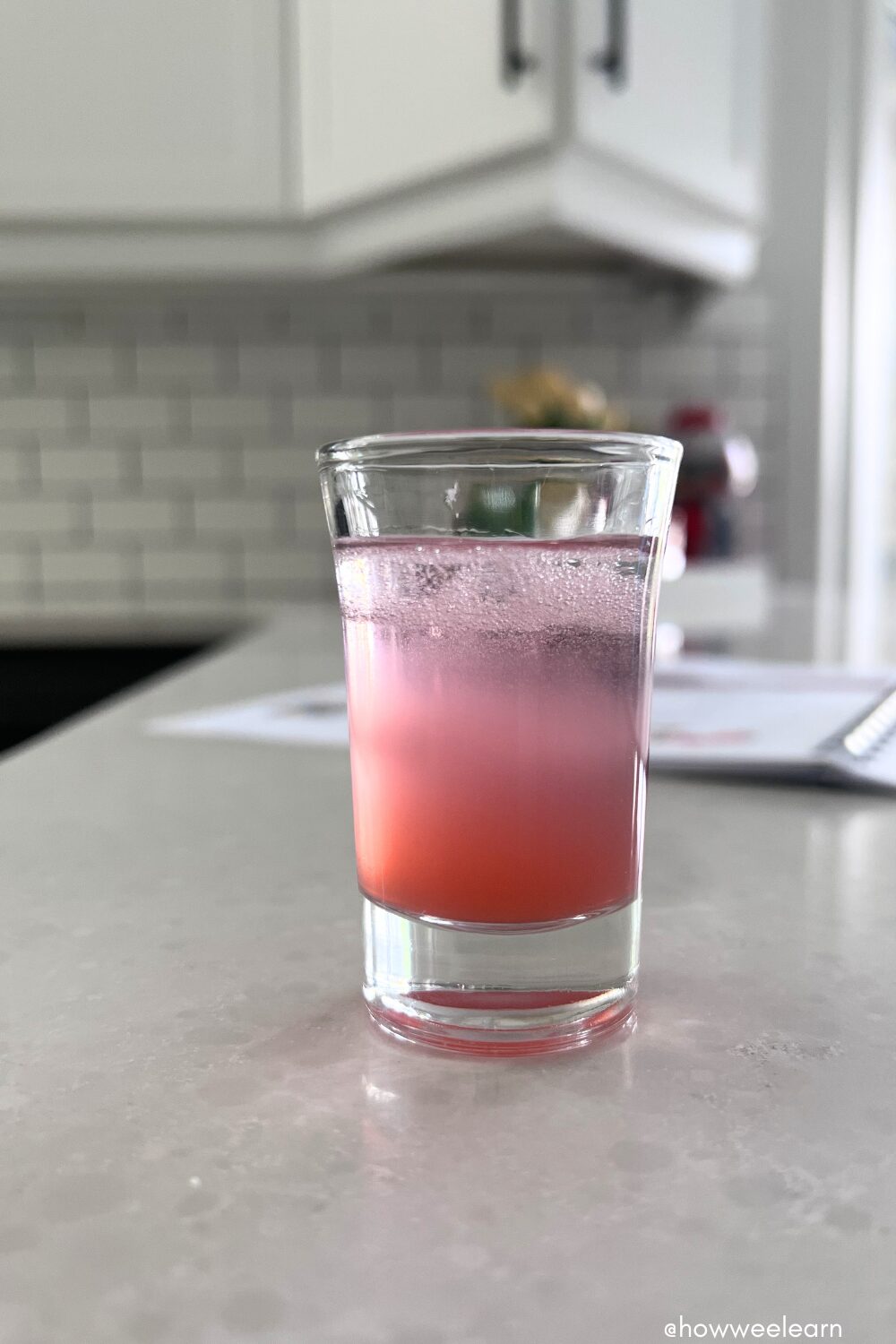 DNA Extracted from Strawberries