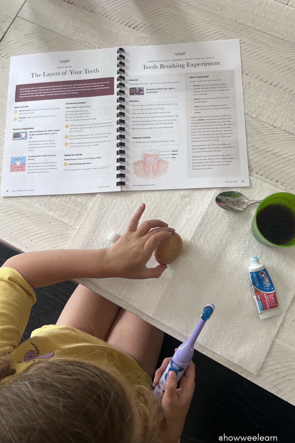 Tooth Brushing Experiment