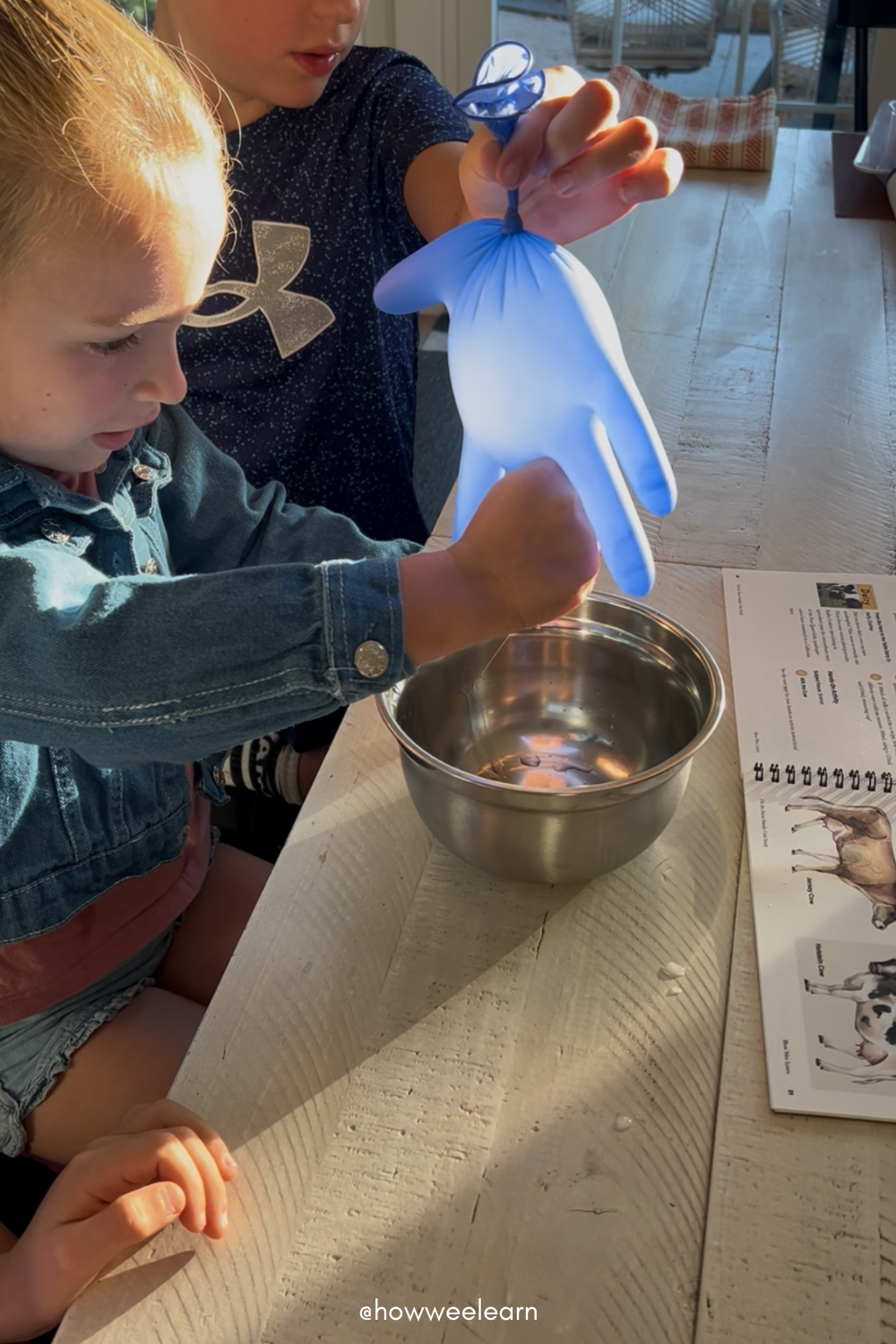Milking the cow activity
