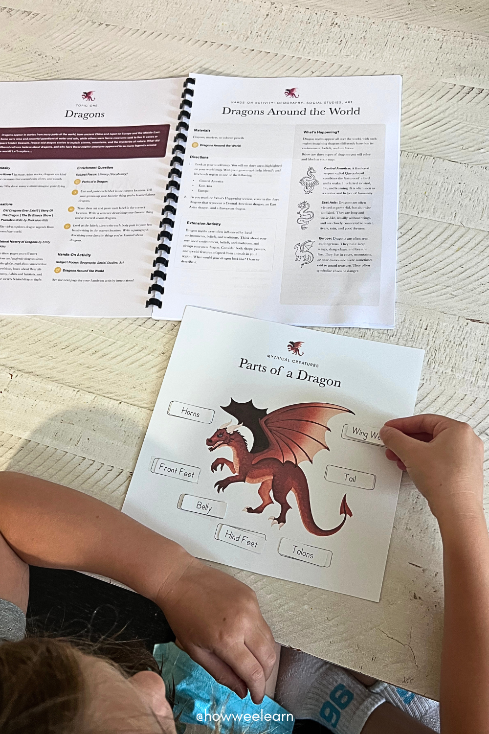 Label a dragon activity