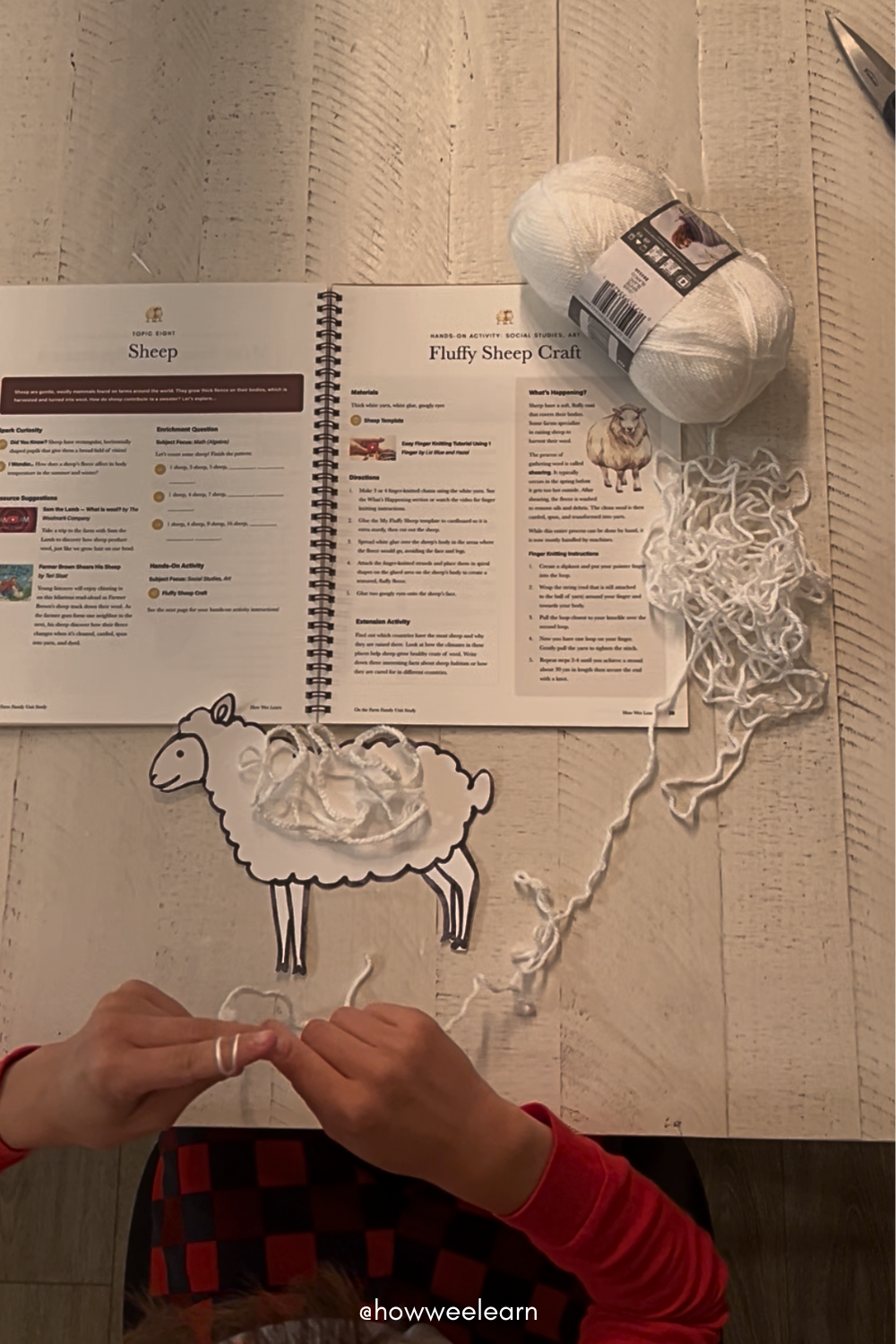 woolly sheep activity