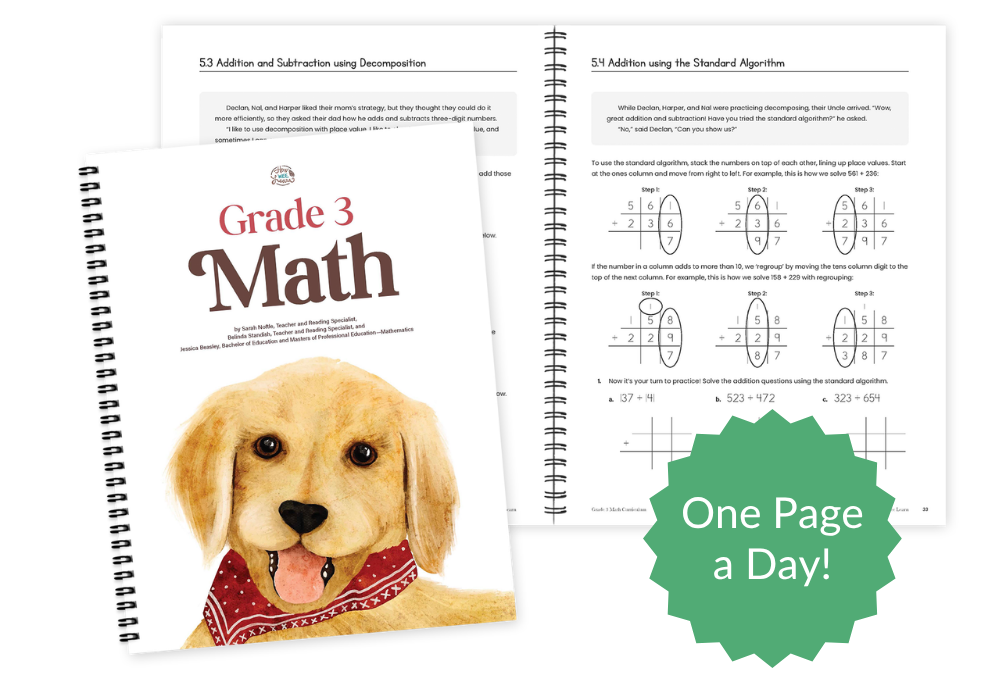Example of Grade 3 Math