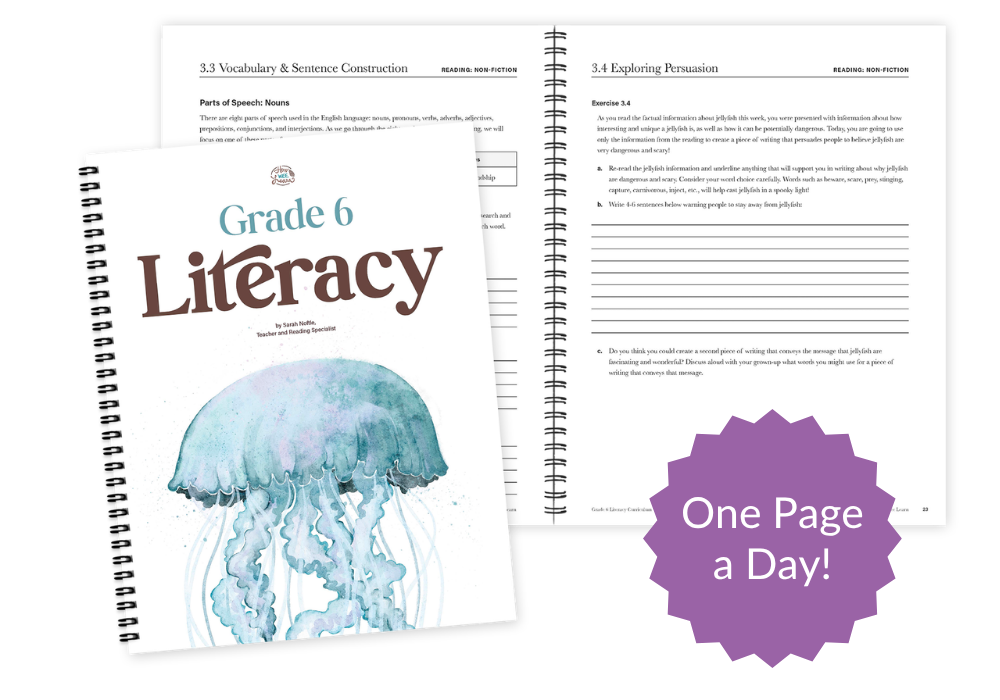 Example of Grade 6 Literacy