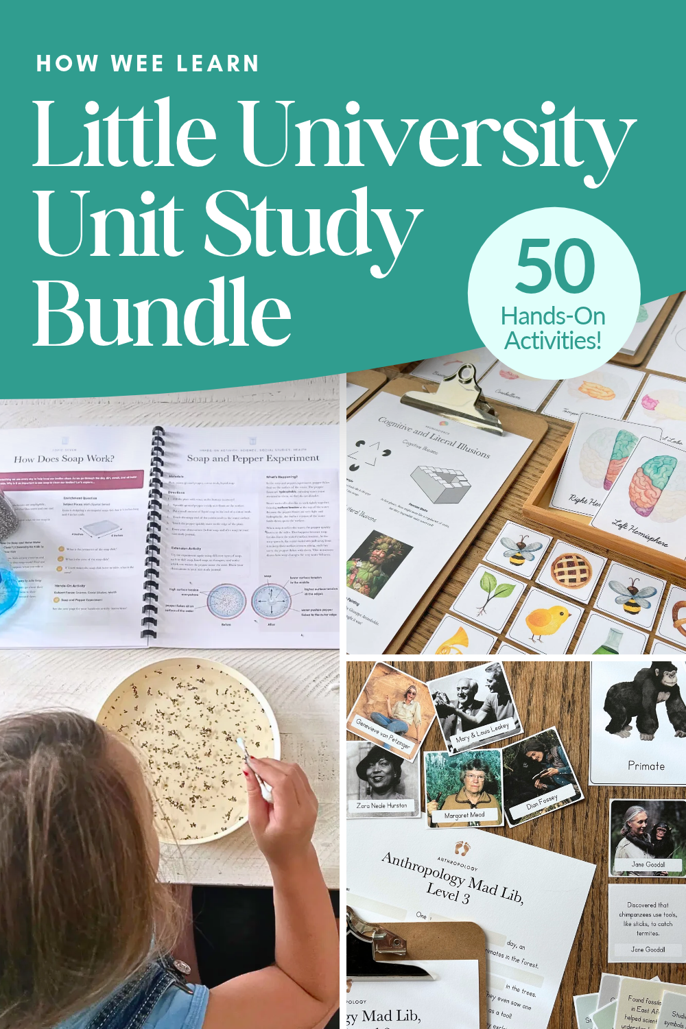 Little University Unit Study Bundle: 50 Hands-On Activities