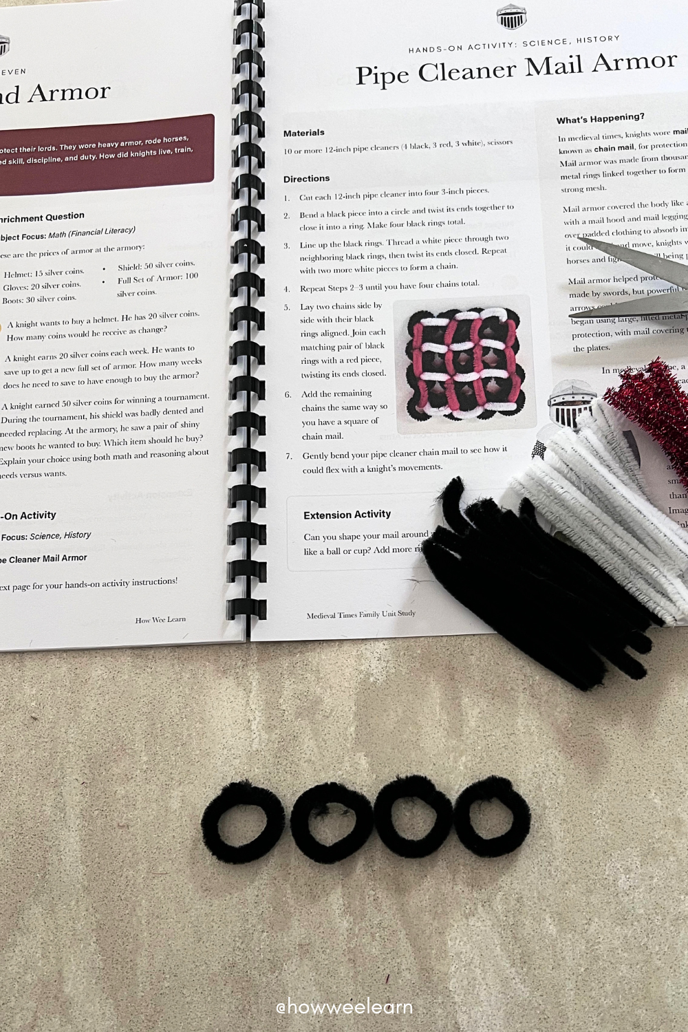 Black Pipecleaners lined up